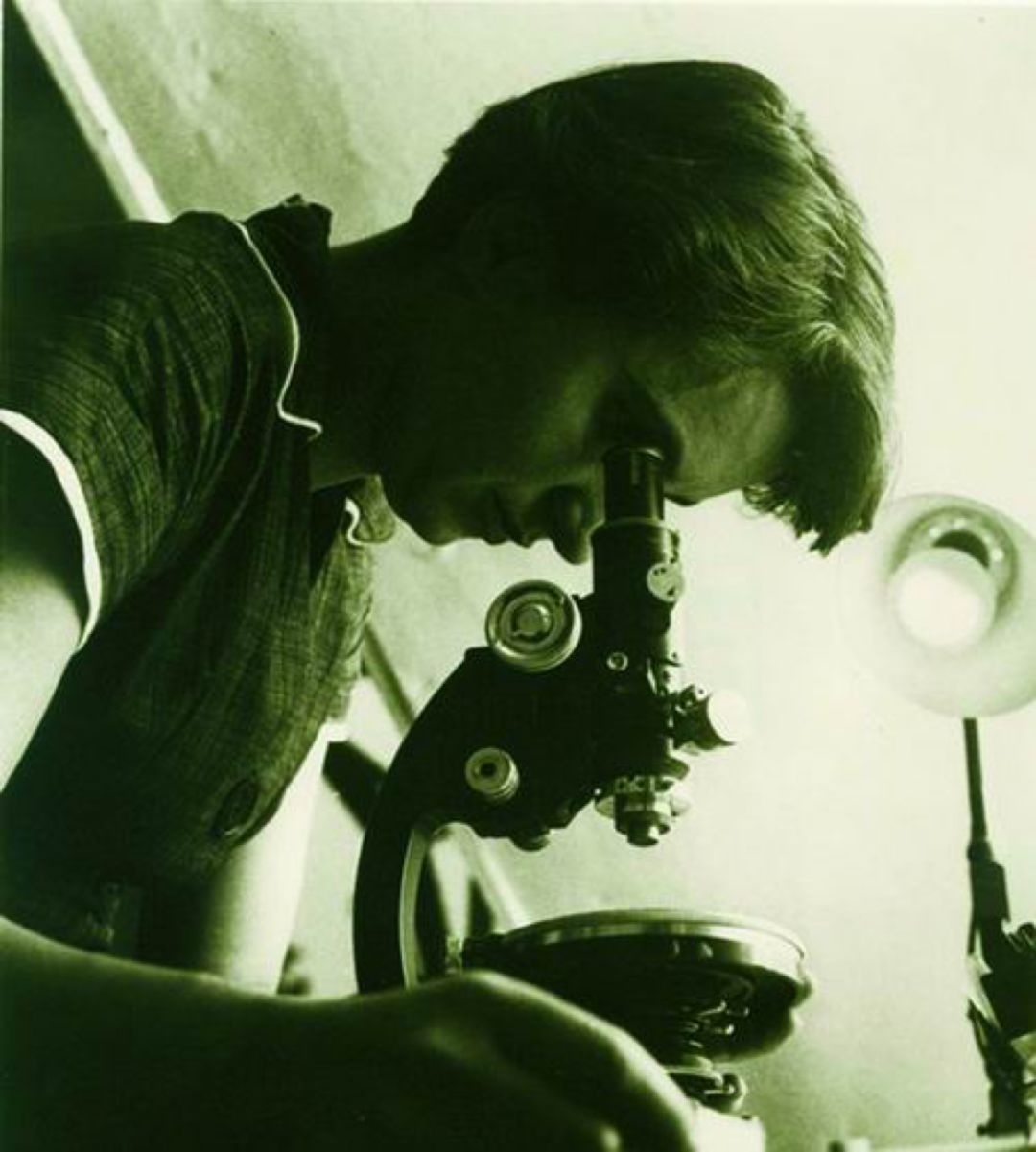 小时候：长大了当科学家！长大了：我寻思cos成科学家也行？