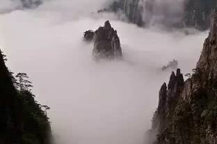 孔子说行万里路更重要,孔子说过言而不文行而不远