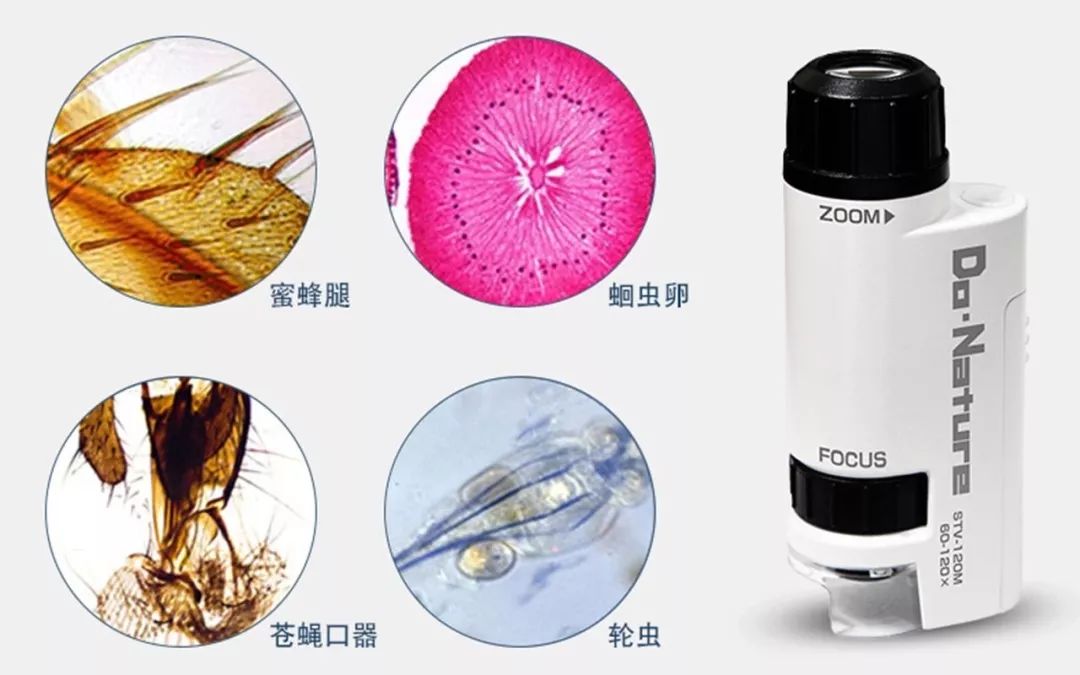 可以放大60倍的微小显微镜,显微镜最大可以放大5000倍