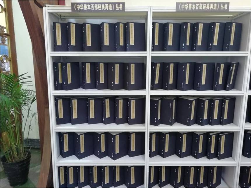 暴走魔都上海,暴走上海杨浦