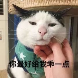 剪刀法找猫为什么灵验,剪刀找猫法的禁忌