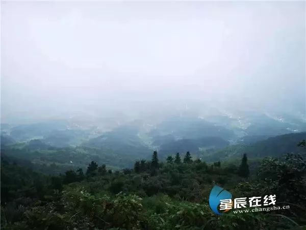 绿水青山盘火宁乡避暑经济
