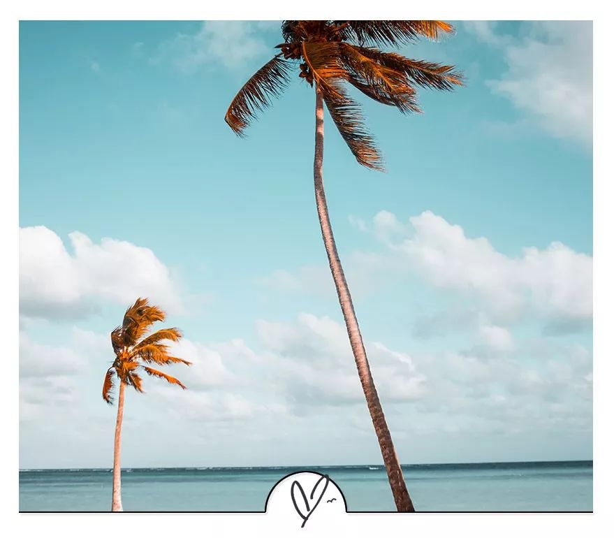 东野圭吾经典句子赏析100字,东野圭吾笔下最经典的100句话