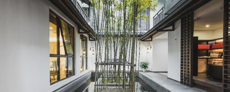 家里放什么财运最好,家里摆什么镇宅避凶招财