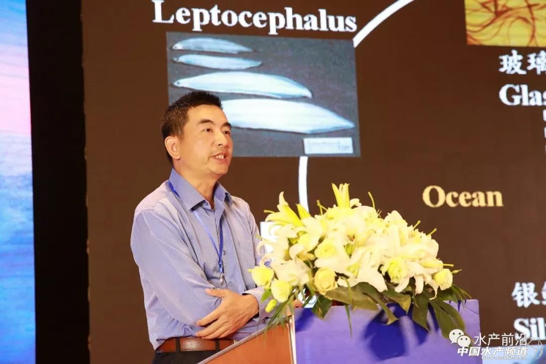 鳗鲡养殖基地,养殖塘鲺鱼一万尾要多少成本