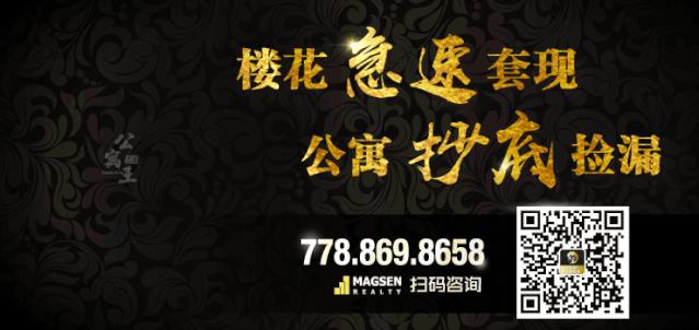 19年18年登陆新移民，为何要赶在年底前往加拿大多汇款？如何利用加国税法海外资产申报的时间差，合理避税？新移民和空中飞人必听