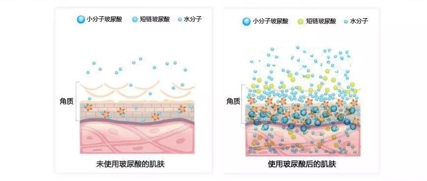 激荡三十年,激荡三十年解读