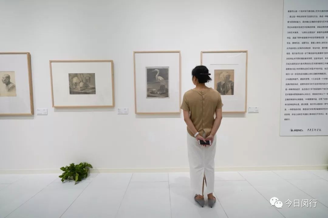 百年马利颜料,马利颜料是中国的吗