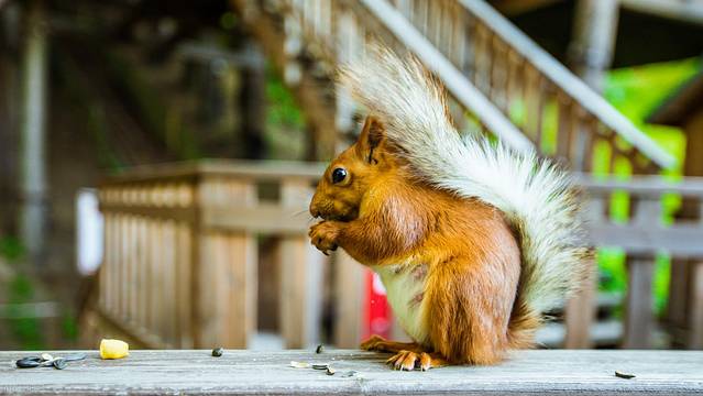 中亚五国旅行,中亚五国穿越东非