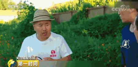 头顶脱发植发有用吗,中国脱发人数2024