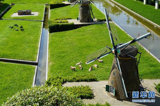 走进小人国,海牙小人国