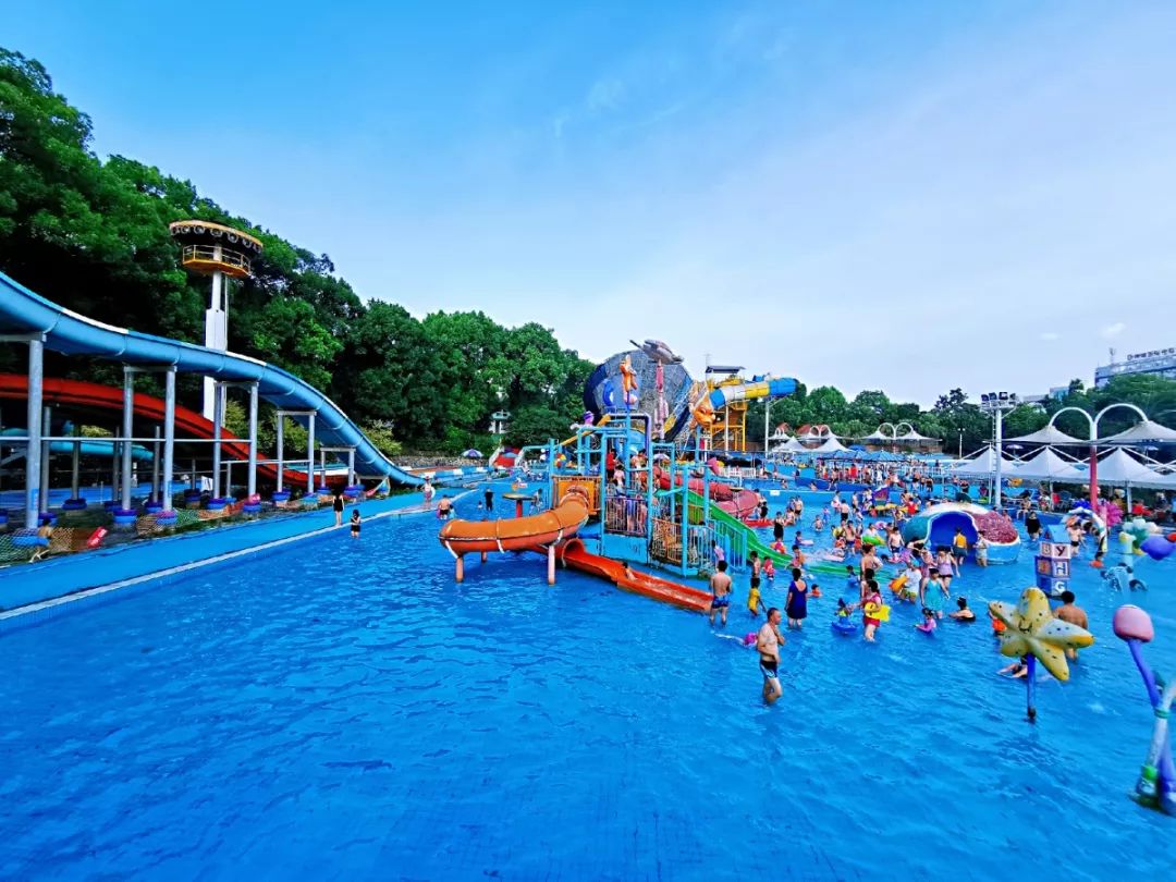 全市瞩目！今天起，这个活动十万人参与，你来不来？