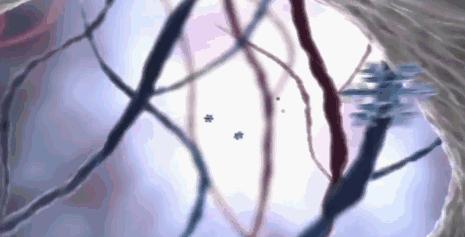 美白黄牙烟渍最好的牙膏,比洗牙还干净的美白牙膏适合牙黄