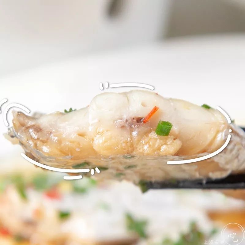 东海开渔第一网！20年本帮菜大佬开卖小海鲜，人均只要100+