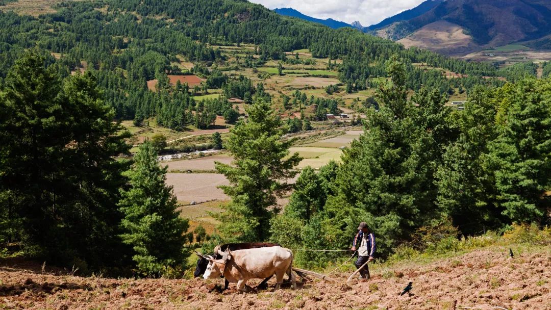 小屋到小屋的远足，走出心中世界