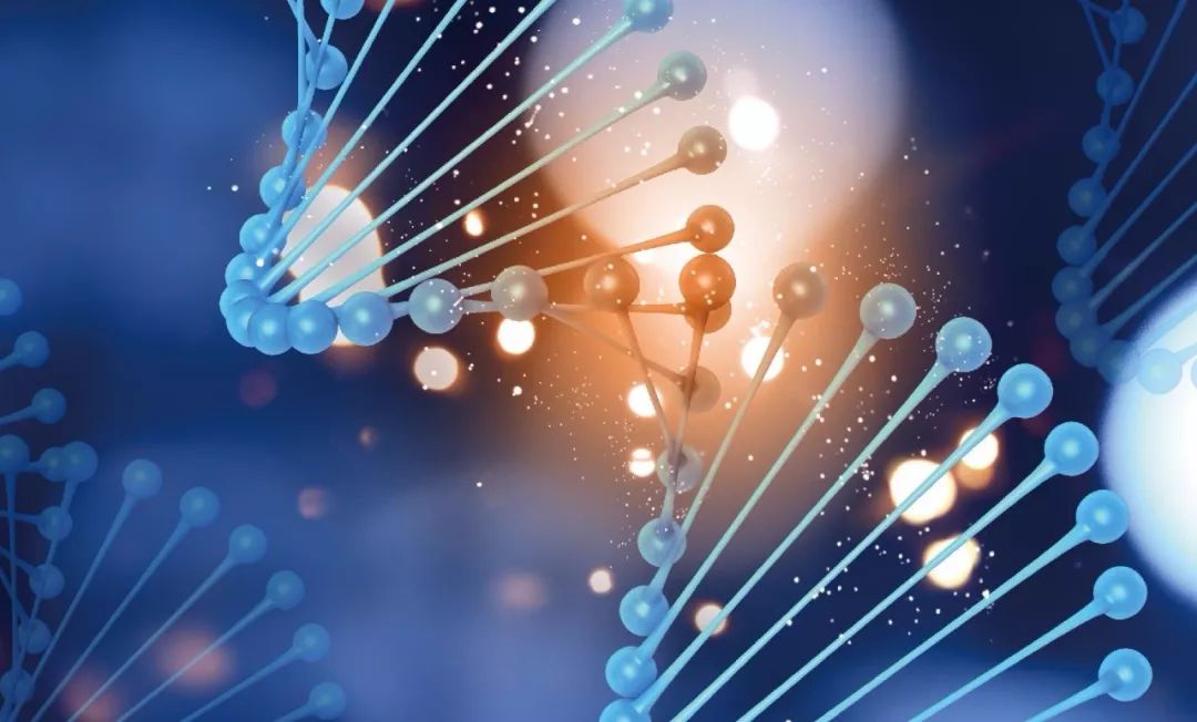 新药受试者招募,胰腺癌新药k001