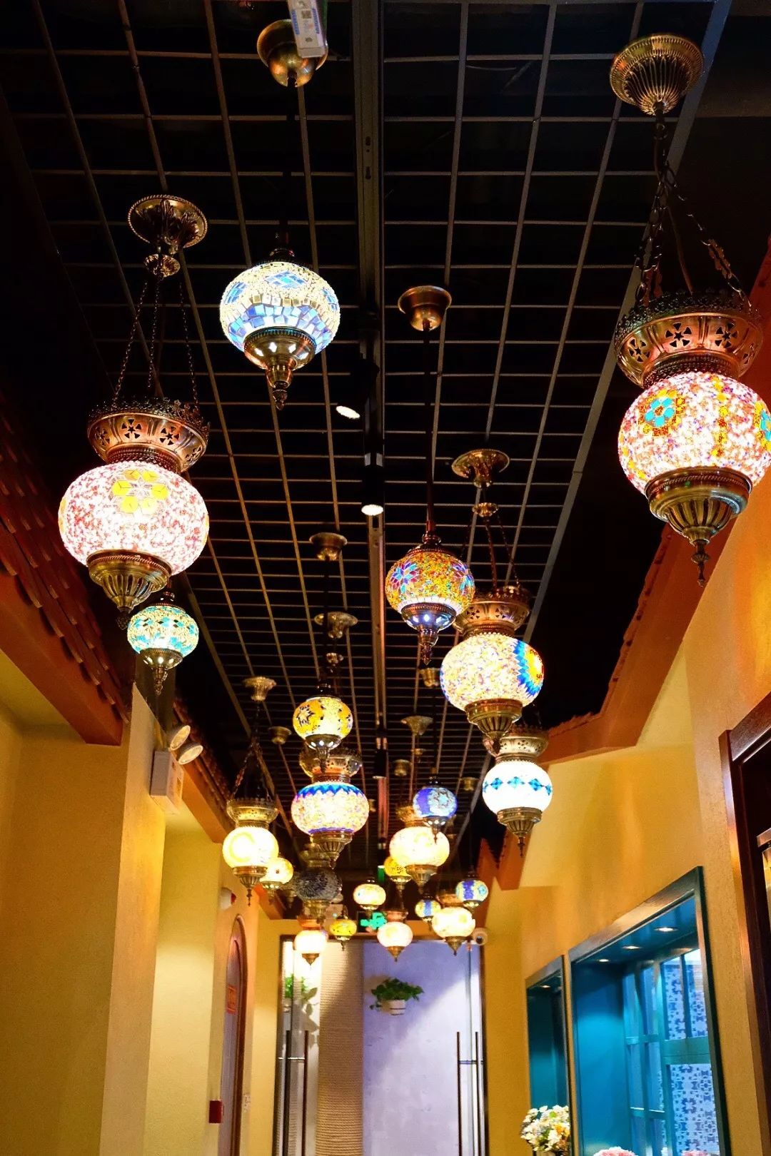 美食推荐新菜上新,四季新京菜推荐菜