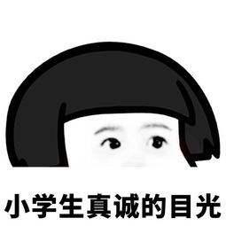 特别专题|比高考语文阅读还难理解的基金会项目信息