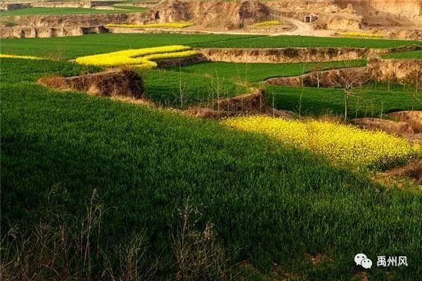 许昌六个县哪个县最富,禹州在许昌经济排名
