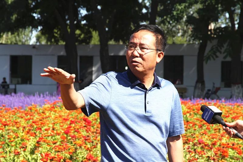 包头花海景点,包头花海美景