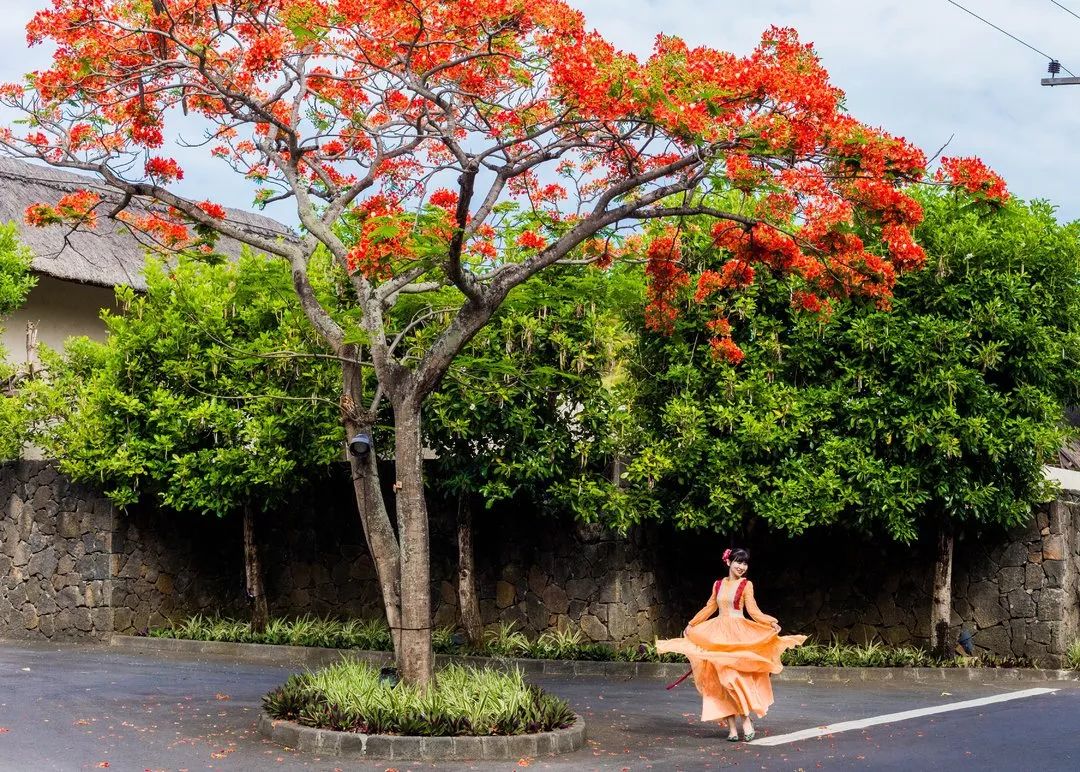 毛里求斯的基础知识,毛里求斯的十个秘密