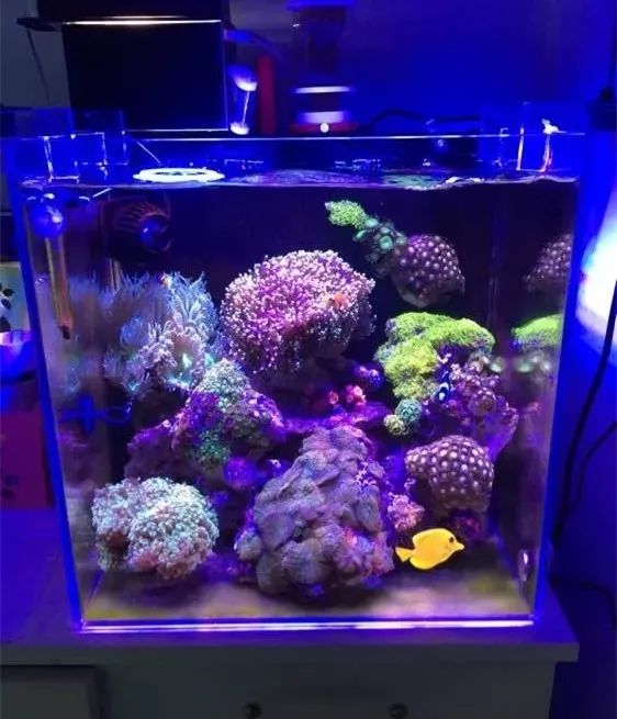 40方缸用背滤,小尺寸背滤