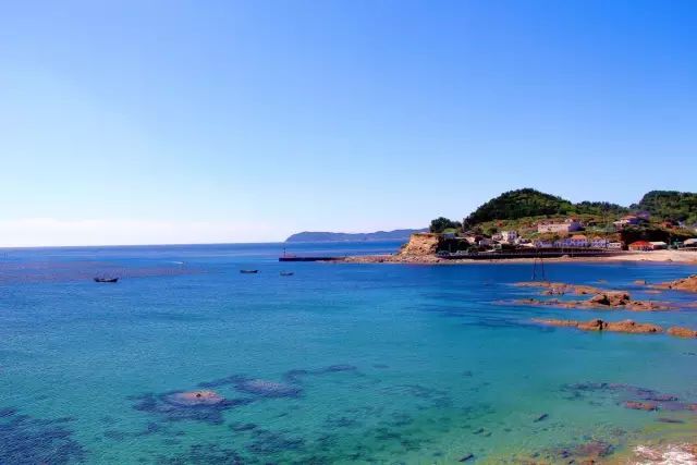 大连开海后的海鲜,开海了吃海鲜去哪个码头最便宜