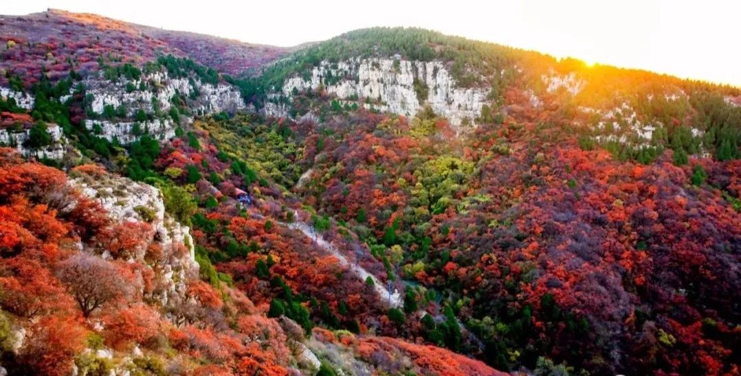 线路推介▎悠游潍坊，古韵犹存，邂逅潍坊的秀美山村...