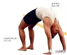 倒立如何稳定,倒立支撑的正确方法