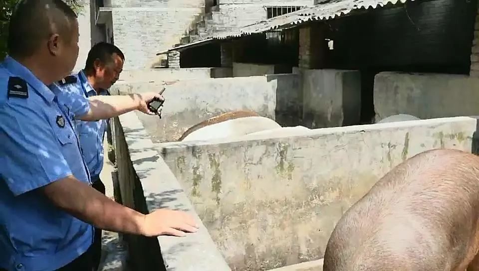 践行新使命忠诚保大庆社区民警,践行新使命忠诚保大庆慰问民警