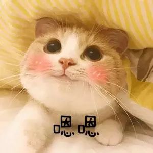 秋冬保湿好物安利快来pick,秋冬保湿的好物