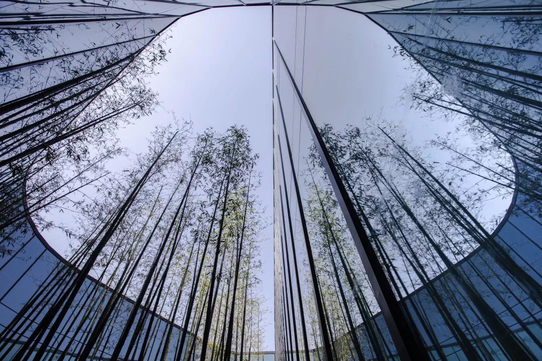 星启未来文化传媒邛崃,星启未来设计展示