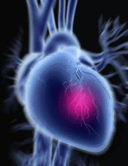 一天心脏早搏3万次!杭州9岁小女孩赶暑假作业赶出心脏病