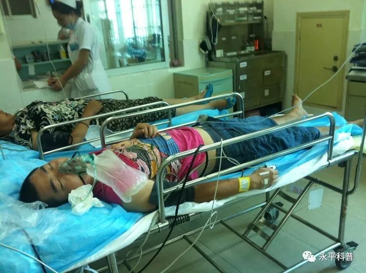 急性中毒急救吃什么,中毒应急常识