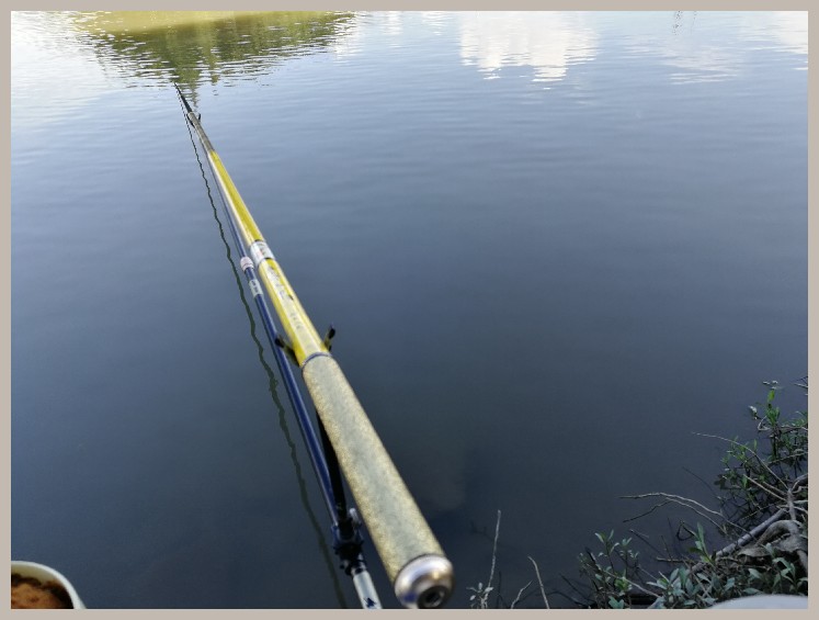 异地最后一次作钓，江鳊鱼获全部送邻居