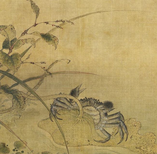 国家有什么螃蟹,国家保护的螃蟹有哪些