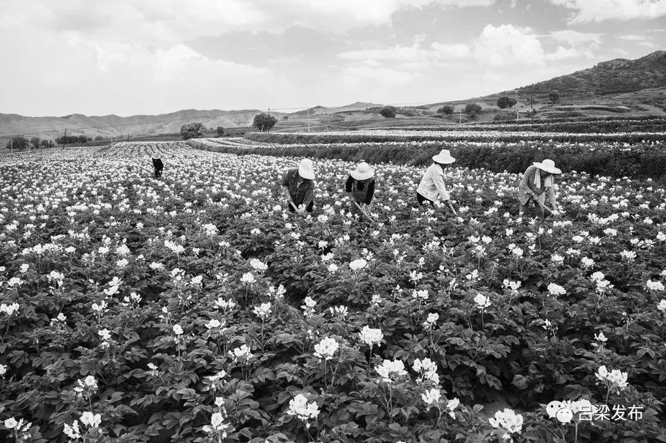 山西日报吕梁新闻,山西媒体关注吕梁运城