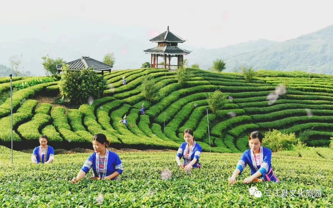 柳州三江南攻略,柳州三江五一有什么好玩的