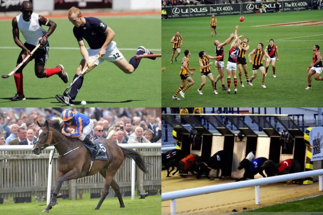 东京橄榄球世界杯,东京橄榄球世界杯2023