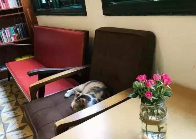 厦门城市漫步好地方,厦门漫步好去处