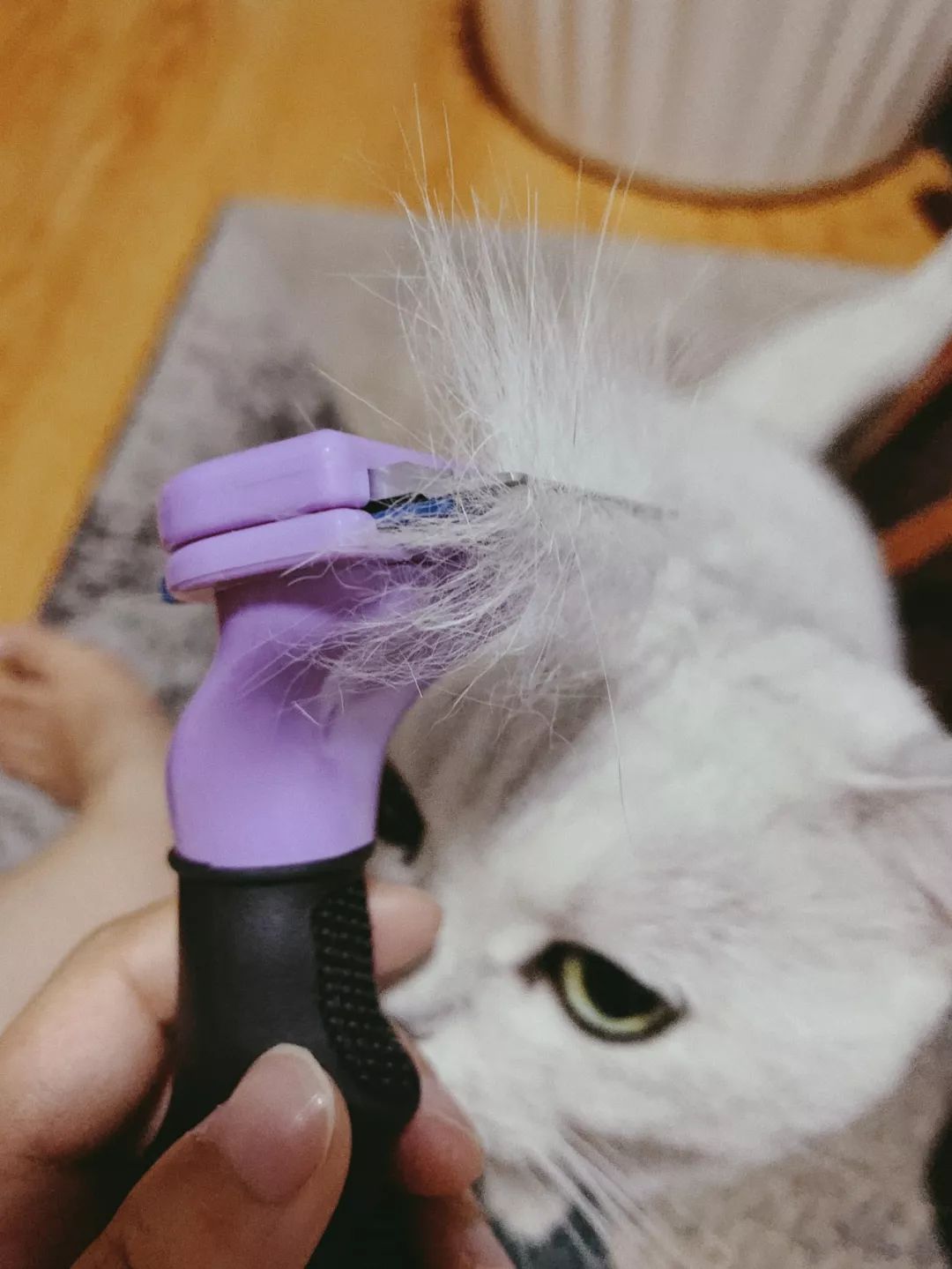 八月爱用好物,夏天爱用小物推荐