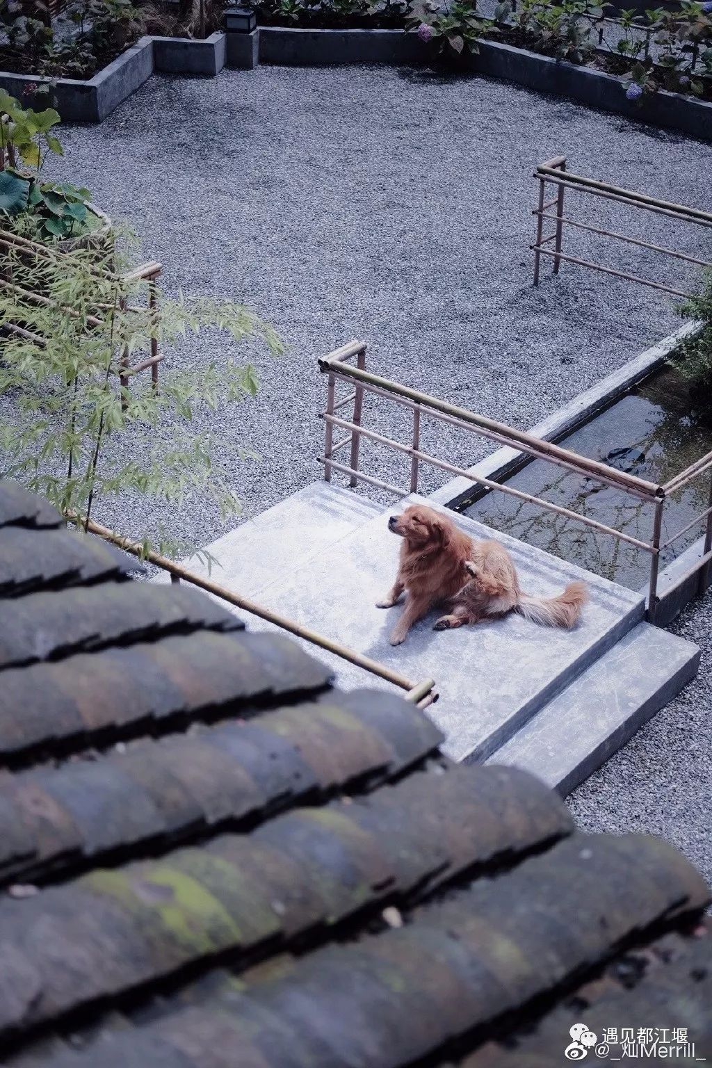 观云民宿推荐,民宿观云海
