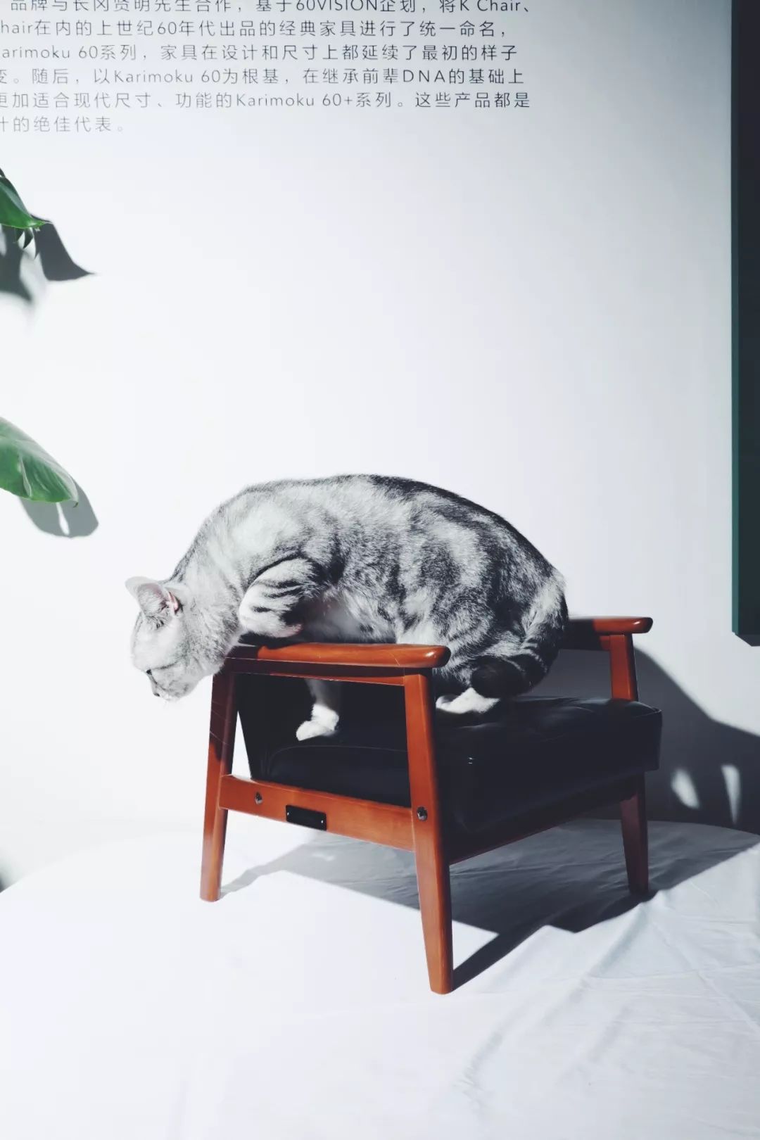 私心北京家居好店大公开，竟变成了剁手之旅...