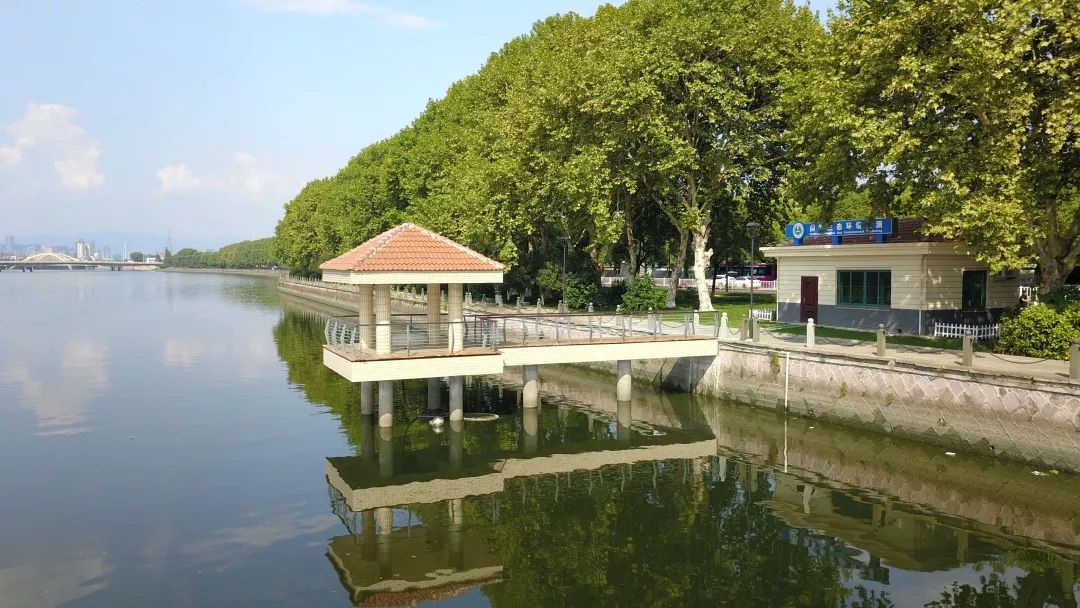 您就是义乌的“代言人”！接到这个电话，千万别挂掉