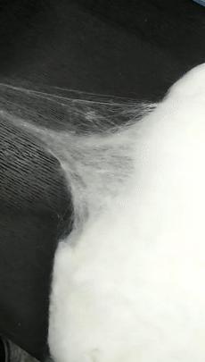 央视曝光蚕丝被长期盖,长期盖蚕丝被的危害图片