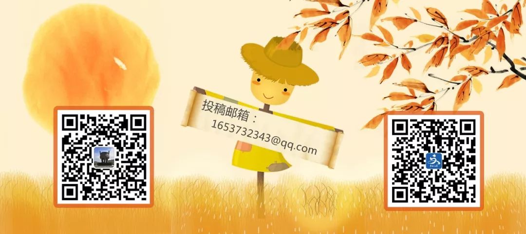 传承了600多年的非遗绝活,这项非遗绝活年轻人都在围观