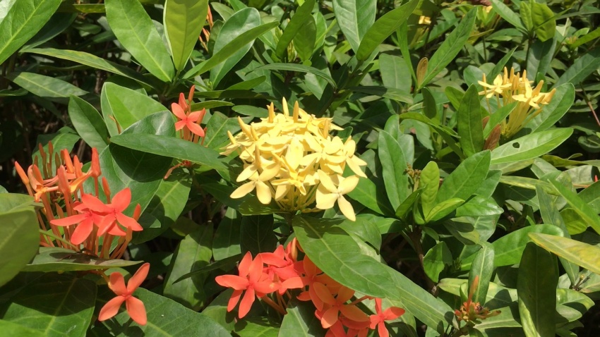 小区对物业不满意怎么处理,感觉物业收费不合理该怎么办