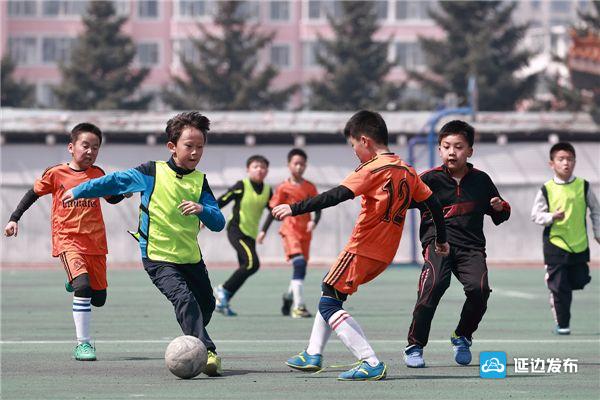 喜报学校获全省教育系统多项表彰,恭喜学校集体取得荣誉