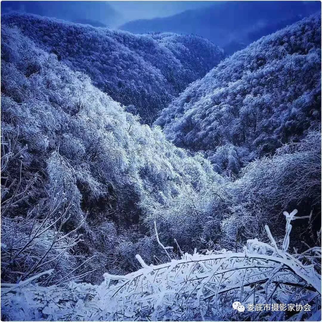 生态娄底美丽家园——【壮丽70年奋斗新时代】娄底首届风光摄影作品展览生态小品作品选登