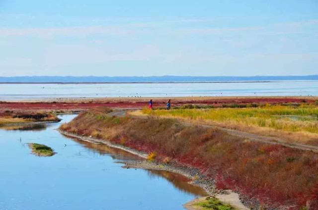 内蒙古的秋天有多美,内蒙古的秋天有多美啊